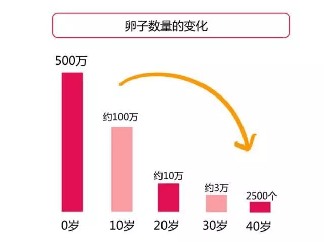 生之源试管助孕公司配图集187