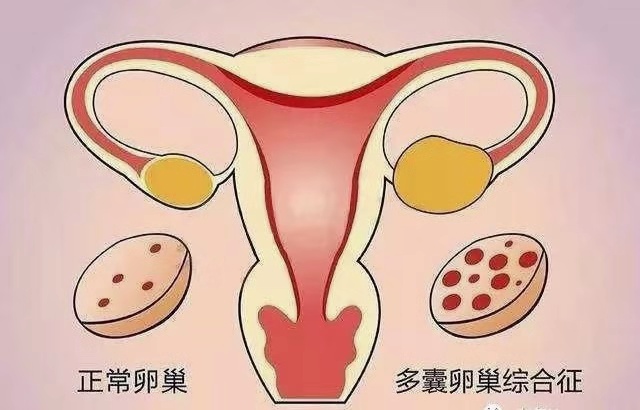 生之源试管助孕公司配图集190