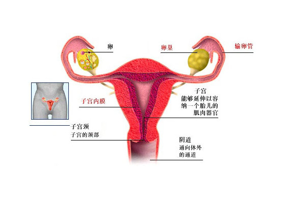 生之源试管助孕公司配图集191